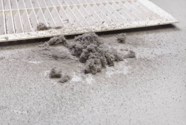 Best Air Duct Cleaning Near Me  in Clksville, AR